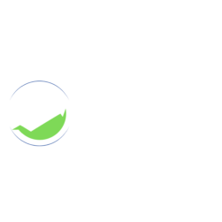Spark up your Business